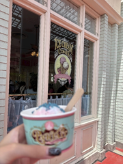 🐭🏰🍨