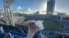 ⚾️💙🌙*.｡