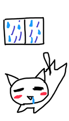 今日は☔️で…