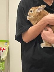 まん丸おめ目にきゅるるんお口