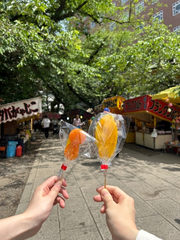 🍧👘✺⋆*