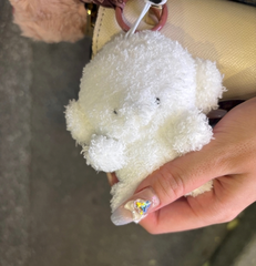 こんばんわ🐶最近U