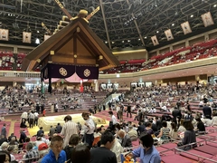 お相撲見てきました✨😆