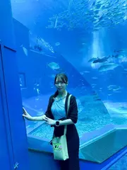 出勤してます✌️