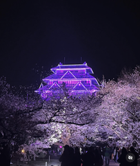 福岡城🌸