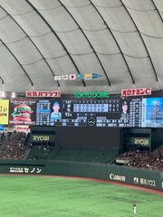 はじめての野球観戦🌼