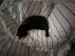 ジュンコの部屋 20260819