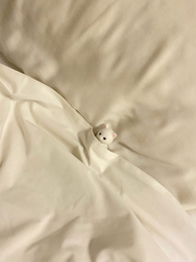 久々に熱でたー😔