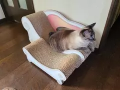 、
