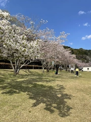美月🌸