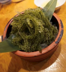 さっぱり😉