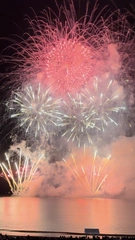 🎆