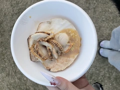バター醤油ホタテ💞