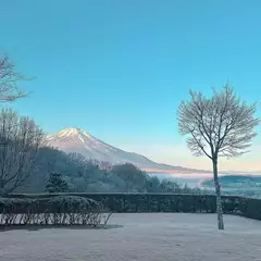 ゆうかの日記 20250110
