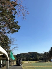 先日は