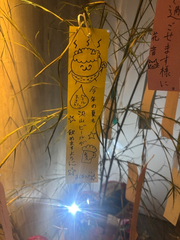 🎋⭐️👦🏻👧🏻🤍