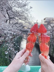 花見🌸