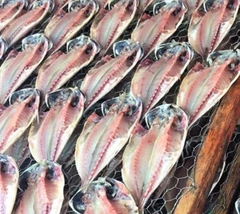 干物〜〜〜〜🐟