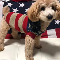 りなの日記 20181107