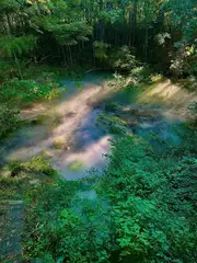 あおいの日記 20250906