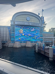 ディズニー😍