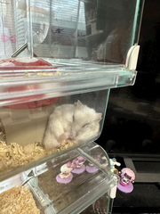 出勤です