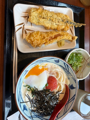 丸亀うどん🥢