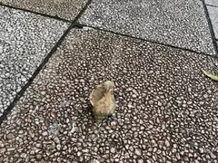 🌊🐚‎🤍
