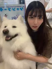 みれいの日記 20260728