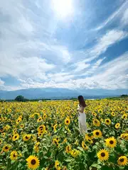 美空の日記 20260727-2