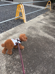 もくようび