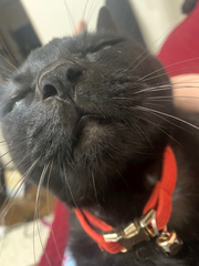 木曜日！