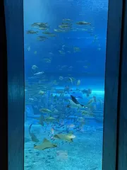 出勤してます🙌