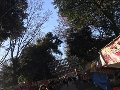 あけましておめでとうございます🌅⛩