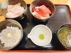 水族館と海鮮丼🐟.。o○
