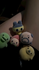8/6