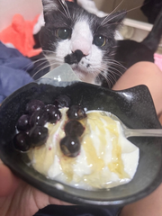 🐈⬛