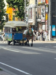 馬車みた🐴