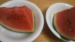 夏！