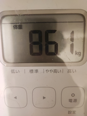 減量記録