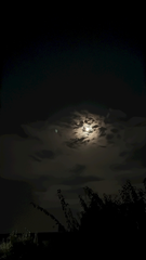 🌙