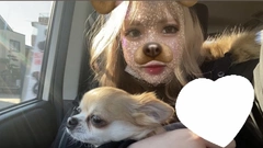 愛犬チップ🐶