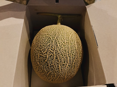 🍈