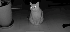 暗闇の