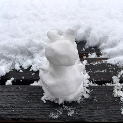 ⛄️❄️