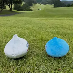 ママの日記 20260817