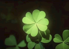 🍀