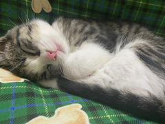 久しぶりの休肝日だったので最強ちゃんです✌🏻