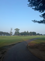 🥵⛳️
