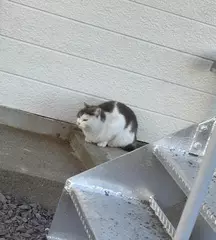 こんにちは